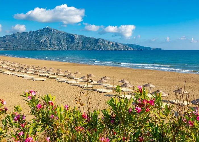 Grand Yasar 2 Okcular